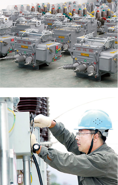 customized VEGM-24 Vacuum Circuit Breaker